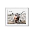 Picture of Longhorn Bull II _GroupedProduct_Rectangle_Landscape_Photography _GroupedProduct_Rectangle_Landscape_Framed_Matted_
