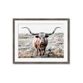 Picture of Longhorn Bull II _GroupedProduct_Rectangle_Landscape_Photography _GroupedProduct_Rectangle_Landscape_Framed_Matted_