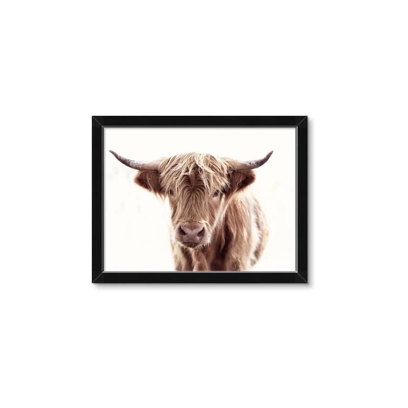Picture of Maggie, the Cow  _GroupedProduct_Rectangle_Landscape_Photography _GroupedProduct_Rectangle_Landscape_Framed_Matted_