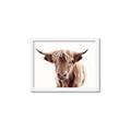 Picture of Maggie, the Cow  _GroupedProduct_Rectangle_Landscape_Photography _GroupedProduct_Rectangle_Landscape_Framed_Matted_