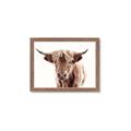 Picture of Maggie, the Cow  _GroupedProduct_Rectangle_Landscape_Photography _GroupedProduct_Rectangle_Landscape_Framed_Matted_
