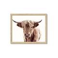 Picture of Maggie, the Cow  _GroupedProduct_Rectangle_Landscape_Photography _GroupedProduct_Rectangle_Landscape_Framed_Matted_