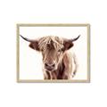 Picture of Maggie, the Cow  _GroupedProduct_Rectangle_Landscape_Photography _GroupedProduct_Rectangle_Landscape_Framed_Matted_