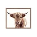 Picture of Maggie, the Cow  _GroupedProduct_Rectangle_Landscape_Photography _GroupedProduct_Rectangle_Landscape_Framed_Matted_