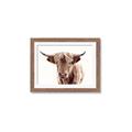 Picture of Maggie, the Cow  _GroupedProduct_Rectangle_Landscape_Photography _GroupedProduct_Rectangle_Landscape_Framed_Matted_