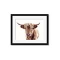 Picture of Maggie, the Cow  _GroupedProduct_Rectangle_Landscape_Photography _GroupedProduct_Rectangle_Landscape_Framed_Matted_