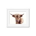 Picture of Maggie, the Cow  _GroupedProduct_Rectangle_Landscape_Photography _GroupedProduct_Rectangle_Landscape_Framed_Matted_