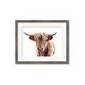 Picture of Maggie, the Cow  _GroupedProduct_Rectangle_Landscape_Photography _GroupedProduct_Rectangle_Landscape_Framed_Matted_