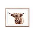 Picture of Maggie, the Cow  _GroupedProduct_Rectangle_Landscape_Photography _GroupedProduct_Rectangle_Landscape_Framed_Matted_