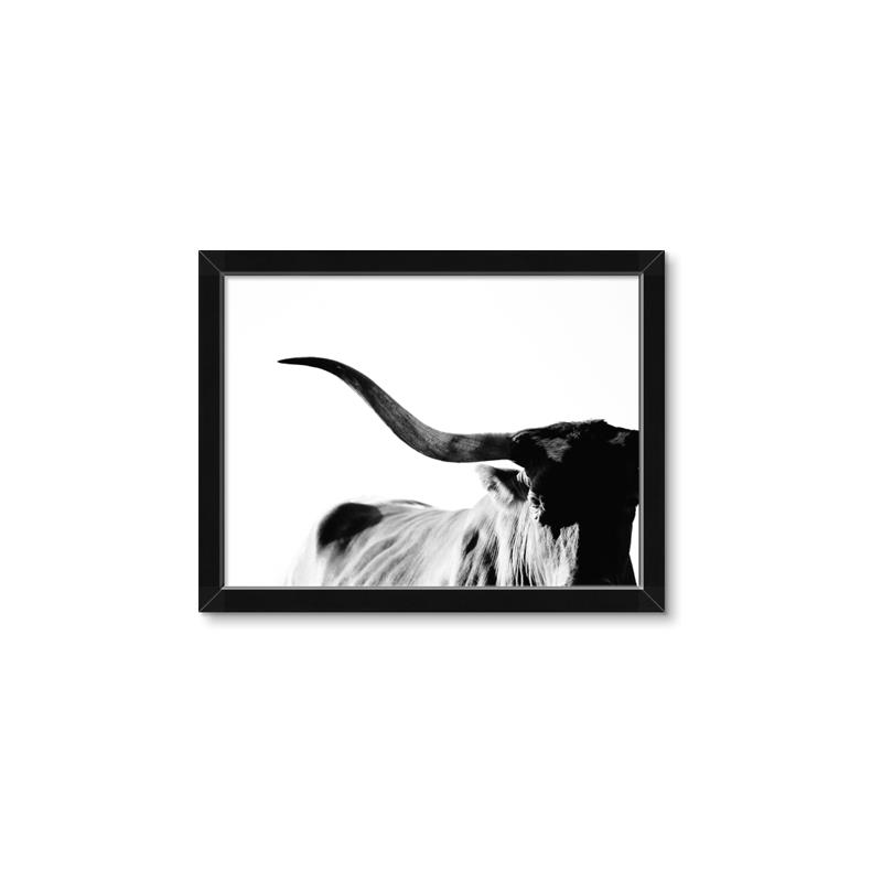 Picture of Max, the Bull _GroupedProduct_Rectangle_Landscape_Photography _GroupedProduct_Rectangle_Landscape_Framed_Matted_