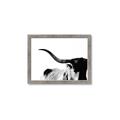 Picture of Max, the Bull _GroupedProduct_Rectangle_Landscape_Photography _GroupedProduct_Rectangle_Landscape_Framed_Matted_