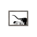 Picture of Max, the Bull _GroupedProduct_Rectangle_Landscape_Photography _GroupedProduct_Rectangle_Landscape_Framed_Matted_