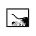 Picture of Max, the Bull _GroupedProduct_Rectangle_Landscape_Photography _GroupedProduct_Rectangle_Landscape_Framed_Matted_