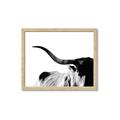 Picture of Max, the Bull _GroupedProduct_Rectangle_Landscape_Photography _GroupedProduct_Rectangle_Landscape_Framed_Matted_