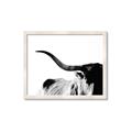Picture of Max, the Bull _GroupedProduct_Rectangle_Landscape_Photography _GroupedProduct_Rectangle_Landscape_Framed_Matted_