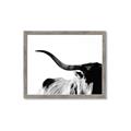 Picture of Max, the Bull _GroupedProduct_Rectangle_Landscape_Photography _GroupedProduct_Rectangle_Landscape_Framed_Matted_