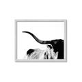 Picture of Max, the Bull _GroupedProduct_Rectangle_Landscape_Photography _GroupedProduct_Rectangle_Landscape_Framed_Matted_