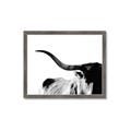 Picture of Max, the Bull _GroupedProduct_Rectangle_Landscape_Photography _GroupedProduct_Rectangle_Landscape_Framed_Matted_