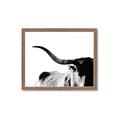Picture of Max, the Bull _GroupedProduct_Rectangle_Landscape_Photography _GroupedProduct_Rectangle_Landscape_Framed_Matted_