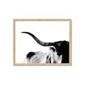 Picture of Max, the Bull _GroupedProduct_Rectangle_Landscape_Photography _GroupedProduct_Rectangle_Landscape_Framed_Matted_