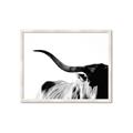 Picture of Max, the Bull _GroupedProduct_Rectangle_Landscape_Photography _GroupedProduct_Rectangle_Landscape_Framed_Matted_