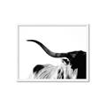 Picture of Max, the Bull _GroupedProduct_Rectangle_Landscape_Photography _GroupedProduct_Rectangle_Landscape_Framed_Matted_