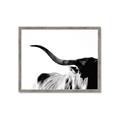 Picture of Max, the Bull _GroupedProduct_Rectangle_Landscape_Photography _GroupedProduct_Rectangle_Landscape_Framed_Matted_