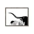 Picture of Max, the Bull _GroupedProduct_Rectangle_Landscape_Photography _GroupedProduct_Rectangle_Landscape_Framed_Matted_