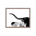 Picture of Max, the Bull _GroupedProduct_Rectangle_Landscape_Photography _GroupedProduct_Rectangle_Landscape_Framed_Matted_
