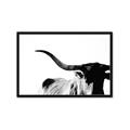 Picture of Max, the Bull _GroupedProduct_Rectangle_Landscape_Photography _GroupedProduct_Rectangle_Landscape_Framed_Matted_