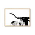 Picture of Max, the Bull _GroupedProduct_Rectangle_Landscape_Photography _GroupedProduct_Rectangle_Landscape_Framed_Matted_