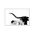 Picture of Max, the Bull _GroupedProduct_Rectangle_Landscape_Photography _GroupedProduct_Rectangle_Landscape_Framed_Matted_