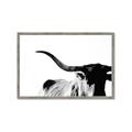 Picture of Max, the Bull _GroupedProduct_Rectangle_Landscape_Photography _GroupedProduct_Rectangle_Landscape_Framed_Matted_