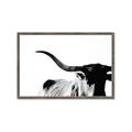 Picture of Max, the Bull _GroupedProduct_Rectangle_Landscape_Photography _GroupedProduct_Rectangle_Landscape_Framed_Matted_