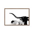 Picture of Max, the Bull _GroupedProduct_Rectangle_Landscape_Photography _GroupedProduct_Rectangle_Landscape_Framed_Matted_