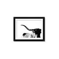 Picture of Max, the Bull _GroupedProduct_Rectangle_Landscape_Photography _GroupedProduct_Rectangle_Landscape_Framed_Matted_