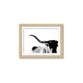 Picture of Max, the Bull _GroupedProduct_Rectangle_Landscape_Photography _GroupedProduct_Rectangle_Landscape_Framed_Matted_