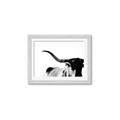 Picture of Max, the Bull _GroupedProduct_Rectangle_Landscape_Photography _GroupedProduct_Rectangle_Landscape_Framed_Matted_
