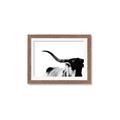Picture of Max, the Bull _GroupedProduct_Rectangle_Landscape_Photography _GroupedProduct_Rectangle_Landscape_Framed_Matted_