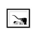 Picture of Max, the Bull _GroupedProduct_Rectangle_Landscape_Photography _GroupedProduct_Rectangle_Landscape_Framed_Matted_