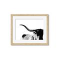 Picture of Max, the Bull _GroupedProduct_Rectangle_Landscape_Photography _GroupedProduct_Rectangle_Landscape_Framed_Matted_