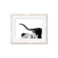 Picture of Max, the Bull _GroupedProduct_Rectangle_Landscape_Photography _GroupedProduct_Rectangle_Landscape_Framed_Matted_