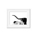 Picture of Max, the Bull _GroupedProduct_Rectangle_Landscape_Photography _GroupedProduct_Rectangle_Landscape_Framed_Matted_