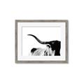 Picture of Max, the Bull _GroupedProduct_Rectangle_Landscape_Photography _GroupedProduct_Rectangle_Landscape_Framed_Matted_