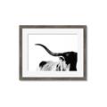Picture of Max, the Bull _GroupedProduct_Rectangle_Landscape_Photography _GroupedProduct_Rectangle_Landscape_Framed_Matted_
