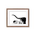 Picture of Max, the Bull _GroupedProduct_Rectangle_Landscape_Photography _GroupedProduct_Rectangle_Landscape_Framed_Matted_
