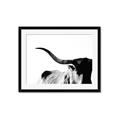 Picture of Max, the Bull _GroupedProduct_Rectangle_Landscape_Photography _GroupedProduct_Rectangle_Landscape_Framed_Matted_