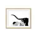 Picture of Max, the Bull _GroupedProduct_Rectangle_Landscape_Photography _GroupedProduct_Rectangle_Landscape_Framed_Matted_