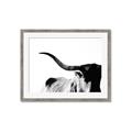 Picture of Max, the Bull _GroupedProduct_Rectangle_Landscape_Photography _GroupedProduct_Rectangle_Landscape_Framed_Matted_