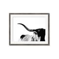 Picture of Max, the Bull _GroupedProduct_Rectangle_Landscape_Photography _GroupedProduct_Rectangle_Landscape_Framed_Matted_
